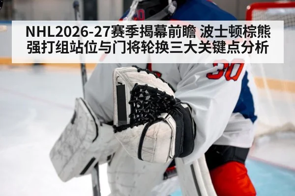 hockey goalie in net
